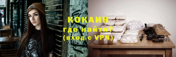 мдпв Михайлов