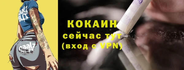 мдпв Михайлов