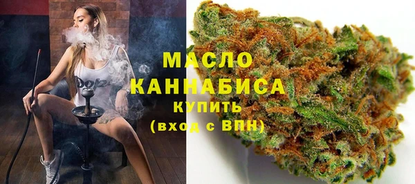мдпв Михайлов