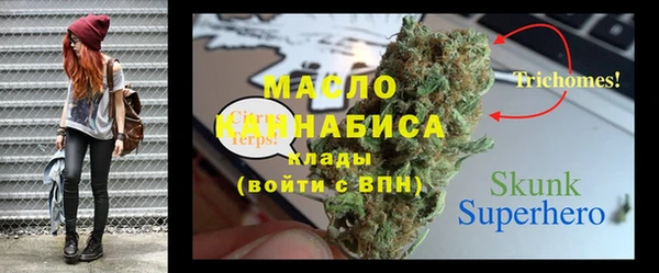 мдпв Михайлов