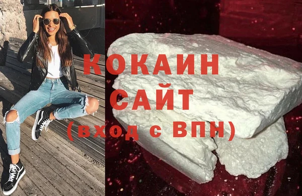 шишки Вяземский