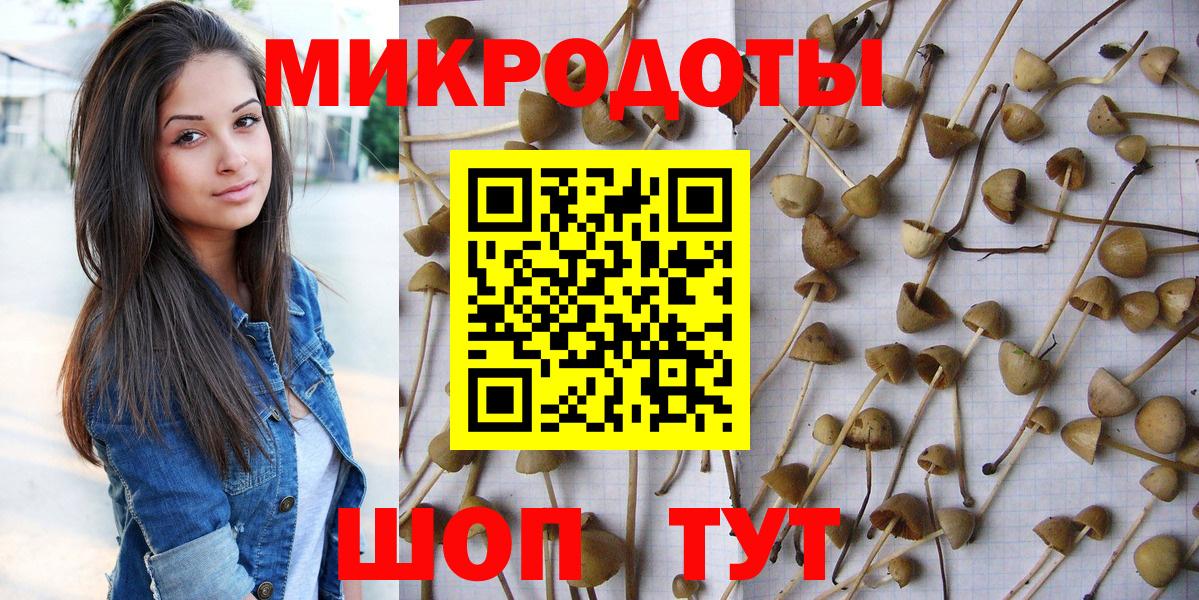 купить наркоту  Заречный  Галлюциногенные грибы ЛСД  Галлюциногенные грибы мухоморы 