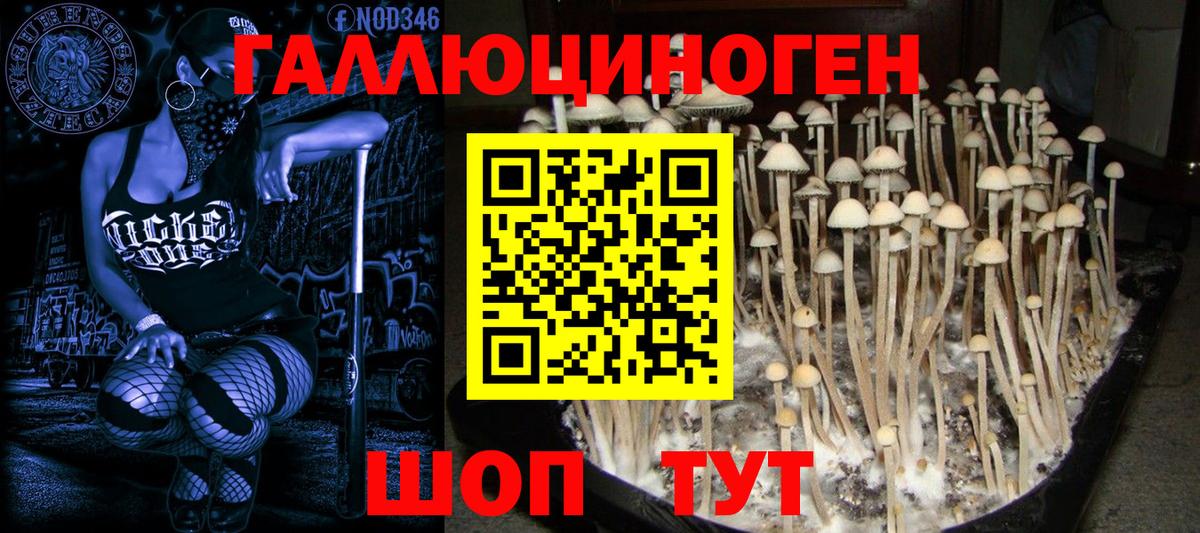 МАРИХУАНА  Гашиш  Заречный  МЕФ   Конопля  ЭКСТАЗИ  Меф МЯУ МЯУ кристаллы  ГАШ 