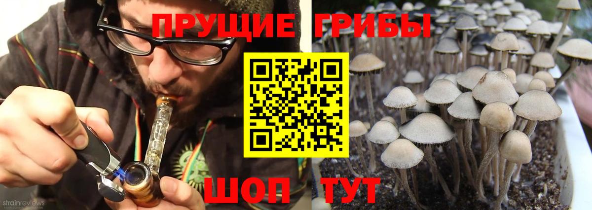 Заречный  Псилоцибиновые грибы ЛСД  Псилоцибиновые грибы MAGIC MUSHROOMS  Вход с VPN 